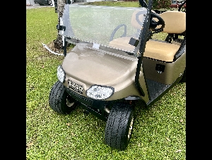 2020 ezgo txt 48volt trojan batteries